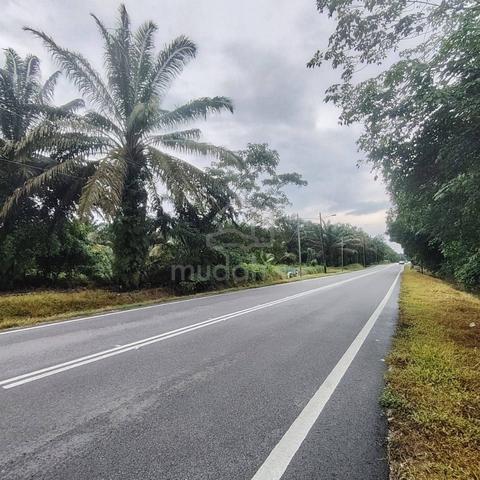 2.4 Acres Agriculture Zoning Industrial Land @ Jalan Sawah Pekan Nanas 1