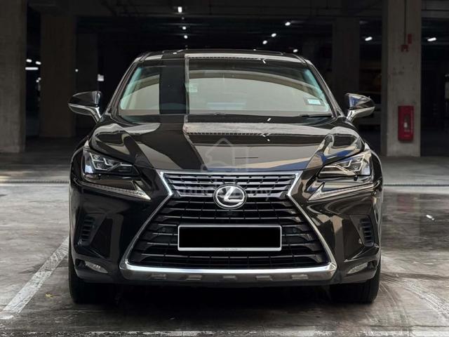 2018 Lexus NX 300 2.0 PREMIUM (A) RED INTERIOR - 4