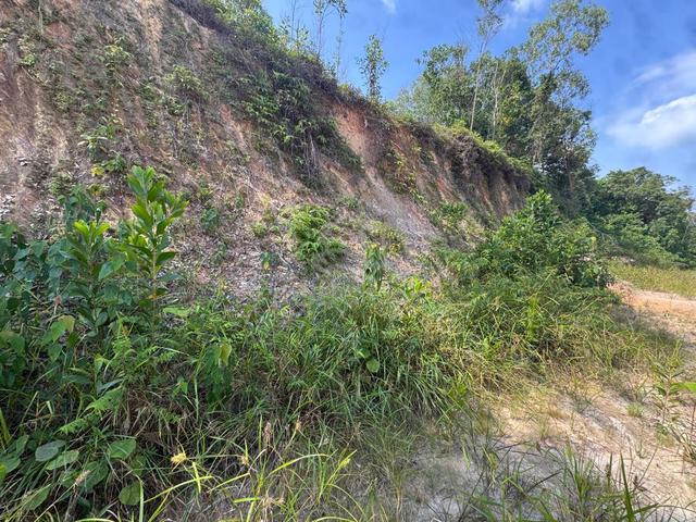 Tanah untuk sewa / Land for lease, N.Sembilan 1