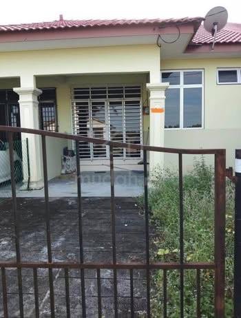Teres Beris Lalang Bachok 1