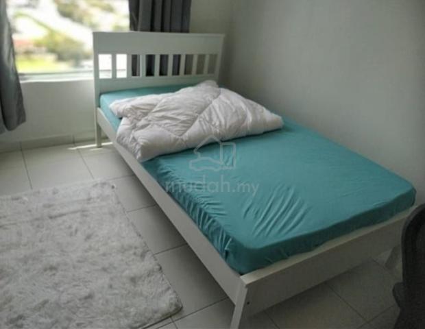 Golden Triangle (FF) Medium Front Room For Rent (FEMALE ONLY) 1