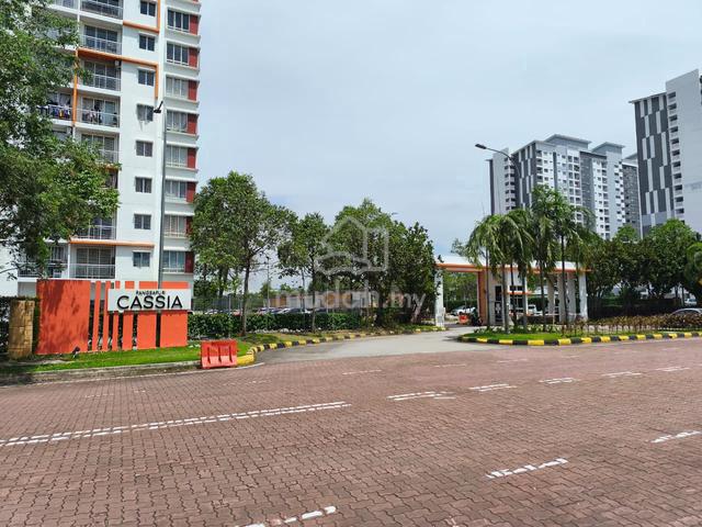 D'Cassia 1