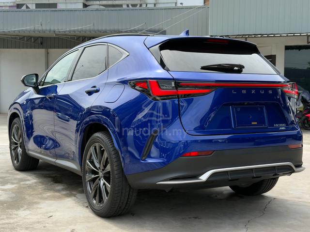 Lexus NX350 2.4 F SPORT/ Low Mileage18K/Grade 5A - 2