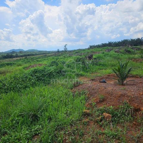 Sungai Tiram 5 Acres Zoning Medium Industrial Land For Sale‼️ 1