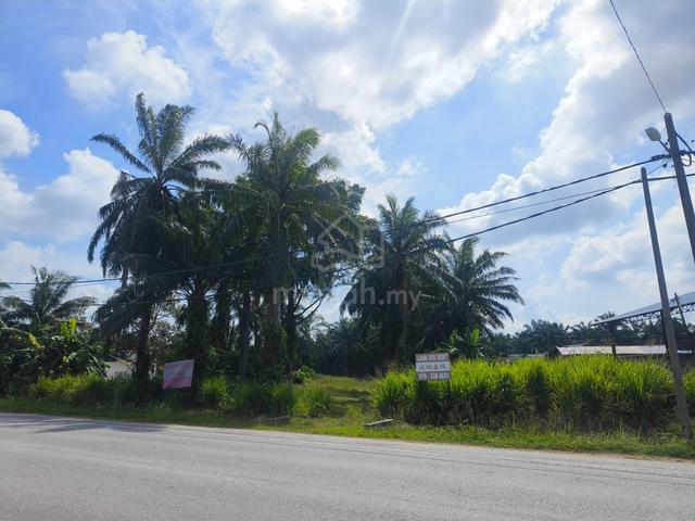 Agriculture Land with Oil Palm-3.11 Acres-Freehold-Kuala Langat,Sel 1