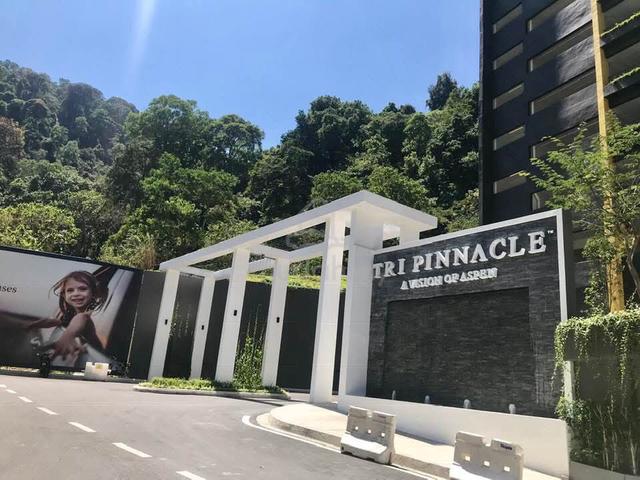 Tri Pinnacle 1