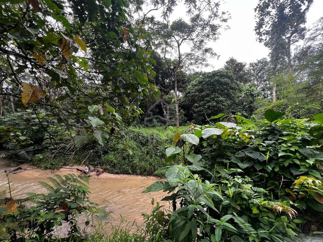 [Facing Road] Tanah kebun laluan air sungai jernih Sg Pening Semenyih 1