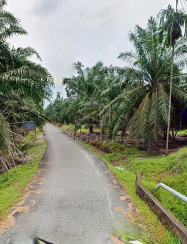 2.8 Acres Agriculture Land @ Kampung Chokoh, Kukup, Pontian Johor 1