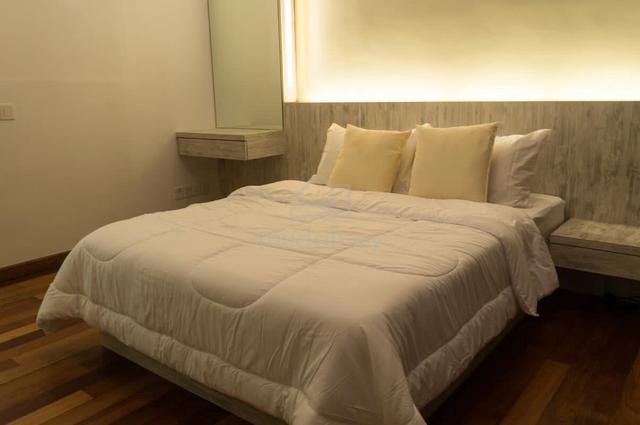 The Light Collection II 4