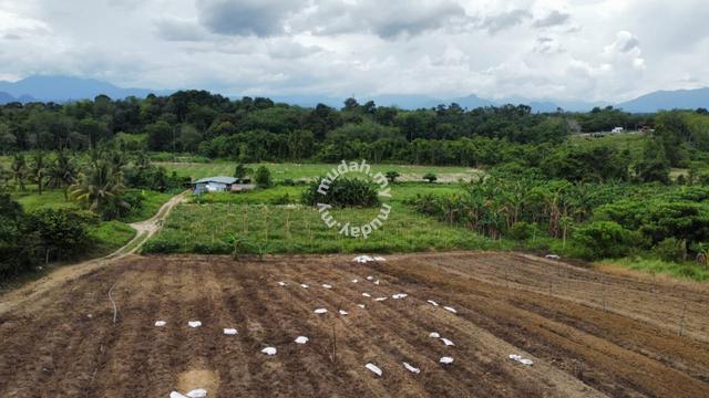 9.6124 acres Vege Farm at Simpang Pulai, Perak 1