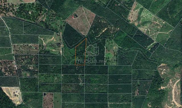 NON BUMI 4 EKAR, Tanah Pertanian, Gali, Raub, Pahang 1