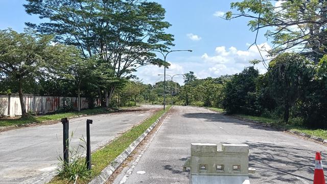 MJC 3 acres for sale 1