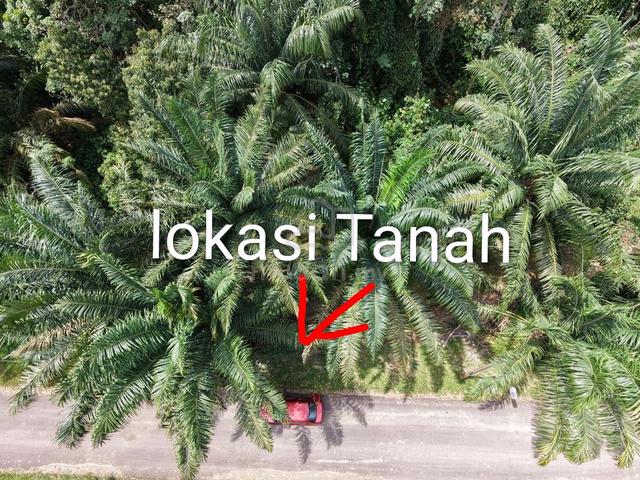 Mainroadš„Tanah Lot Banggunan|Ulu Choh|Rezab Melayu 1