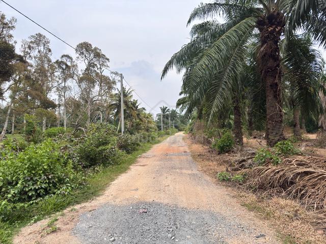 Freehold Agriculture Land For Sale At Tanjong Sepat,Bt Laut,Selangor 1