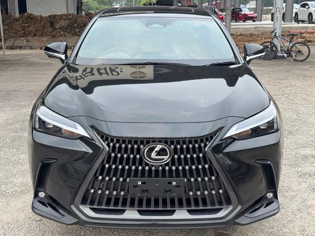 2024 Lexus NX250 2.5 STANDARD (A)S/ROOF,HUD,14”DIS - 3