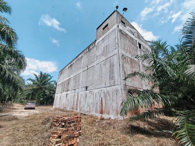 Rare Freehold 2 Acre Farm Land with Swiftlet House Near Kukup Town 1