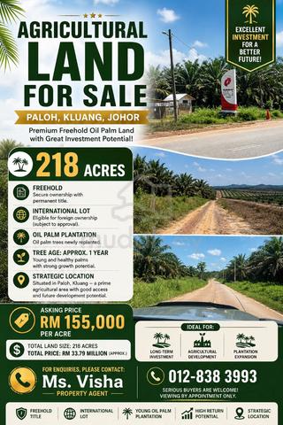 Land For Sale @ Paloh Kluang 218 acres 1