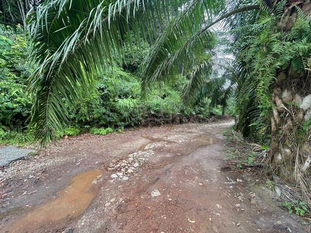 LAND FOR LEASE NEARBY FUTURE ECRL Gambang Kuantan Pahang 4