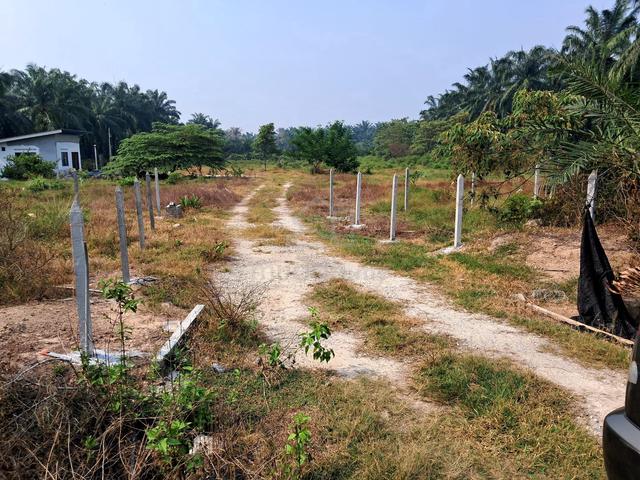 1.5 ekar di Kuala Langat 1