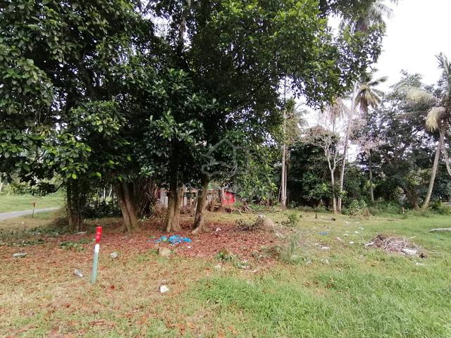 Tanah lot area sungai pinang Balik Pulau 2