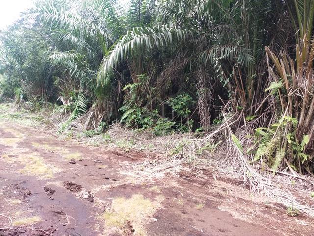 Sijangkang Flat Land Telok Panglima Garang, 📌2.04 Acres 4