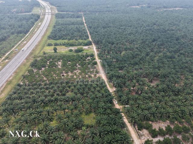 Sri Cheeding Jenjarom (Bukit Perah) 2 Acres Land with road access 1