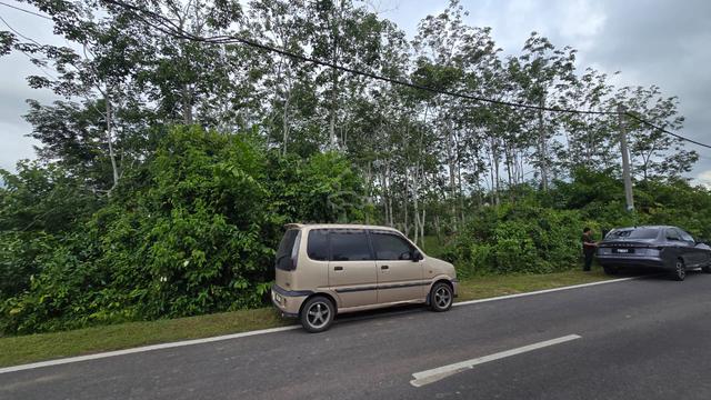 premium area land getah kebun hosba Kedah 1