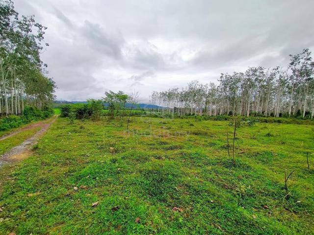 Tanah Geran Mukim Di Carok Mokkan, Mukim Hosba, Jitra, Kedah 1