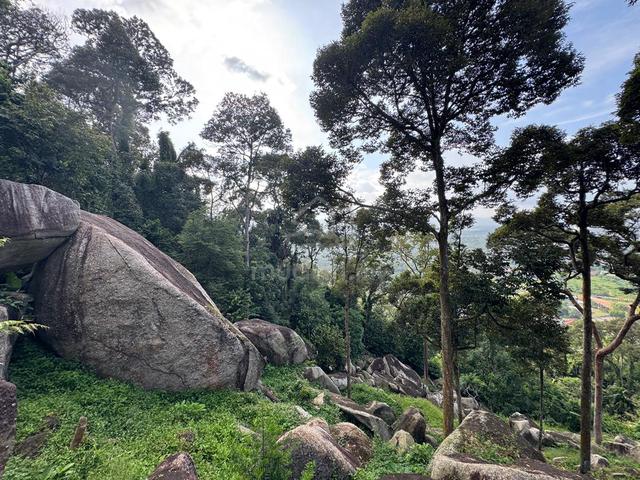BUKIT MERTAJAM DURIAN HILL|GOOD LOCATION|BELOW BANK VALUE|8.26Acre| 1