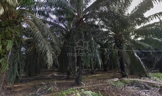 Senai Seelong 40 Acre Medium Industrial Land Freehold Kulai 1
