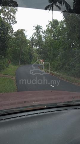 Dusun durian jelebu negeri sembilan 1