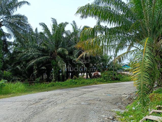 KG Perepat Batu 8 Kapar 1