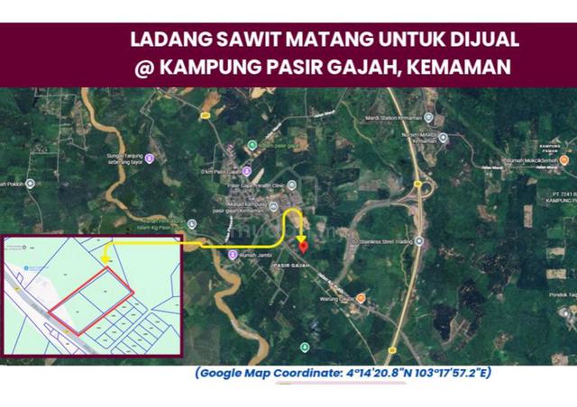 TANAH KEBUN SAWIT MATANG UNTUK dijual @ KAMPUNG PASIR GAJAH, KEMAMAN 1