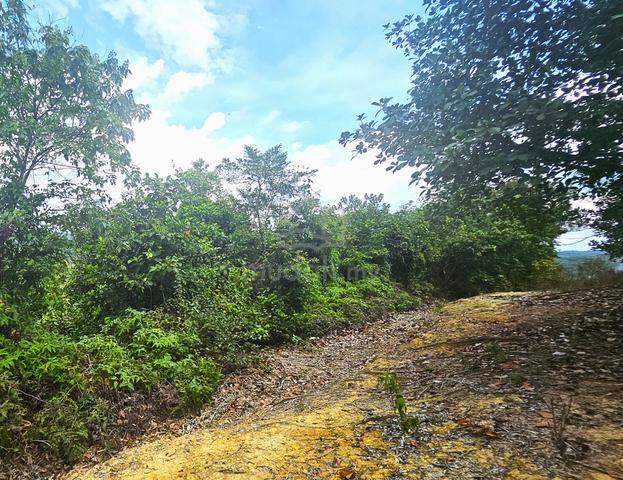 VIEW CANTIK, Tanah Pertanian, SESUAI DUSUN DURIAN, Simpang Renggam 1