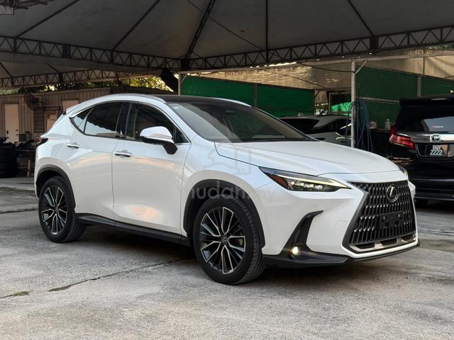 2023 Lexus NX250 2.5 VERSION L BROWN LEATHER 5A - 1