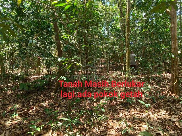 Tanah 1.8 Ekar Astana Raja (SESUAI BUAT RUMAH+DUSUN+KOLAM) 1