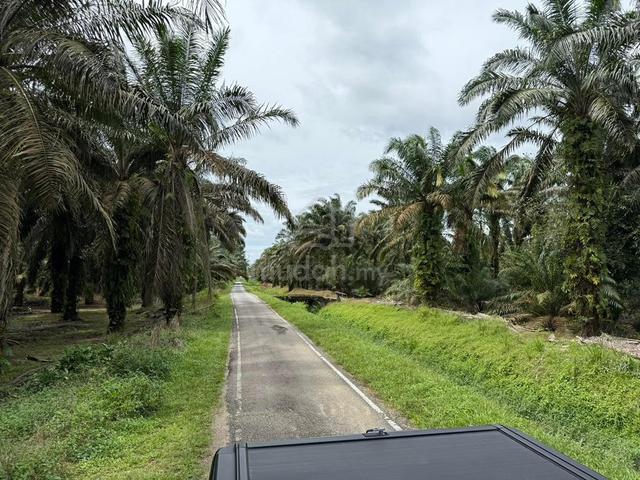 Simpang Renggam 5 Acre Agriculture Land Infrastructure Ready 250k/Acre 2