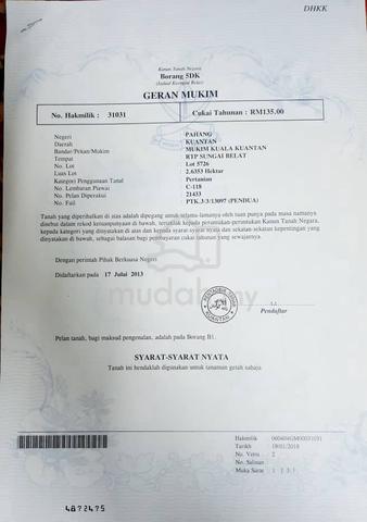 Tanah Kebun Sawit untuk di jual dengan segera 1