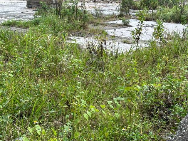 Commercial land Second layer Old Klang Road 1