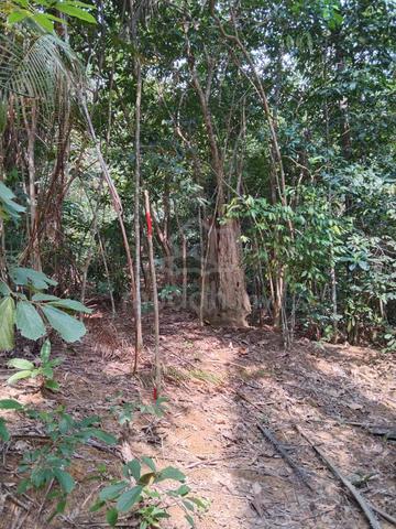 3.4 Acre Agricultural Land Serapoh Parit Perak 1