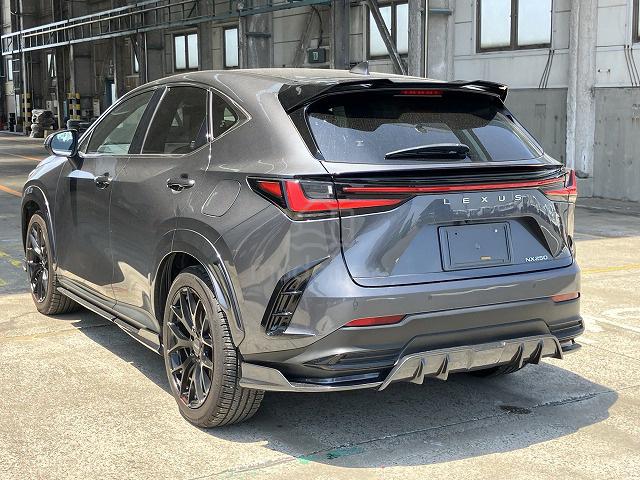 2022 Lexus NX 250 2.5 BASE MODEL (A) - 2