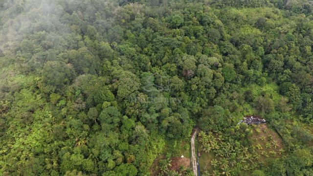 1 Acre Freehold Hilly Agricultural Land Tempoyang Kuala Lipis 1