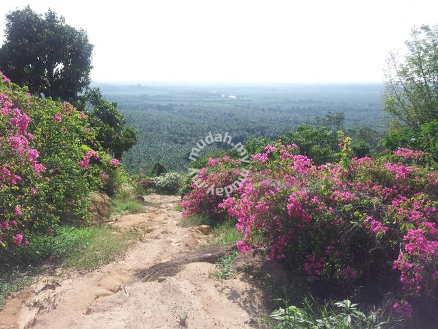 Jorak Muar Zonning Industrial Agri Land For Sale 1