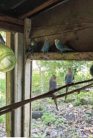 Carousel Image