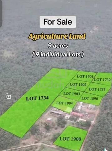 Agriculture Land For Sale at Linggi 1