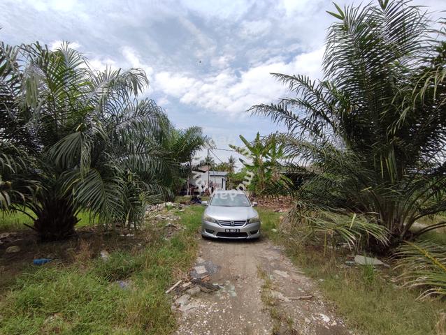Nice!! Nice!! Jenjarom 4.512 acres agricultural land zoned residential 3