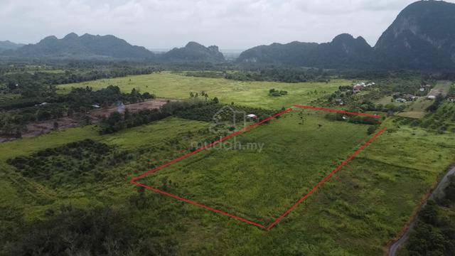 Tanah Kebun Rapat Mini Tar Di Semadong, Perlis 1