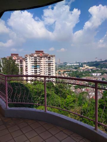 Venice Hill 1