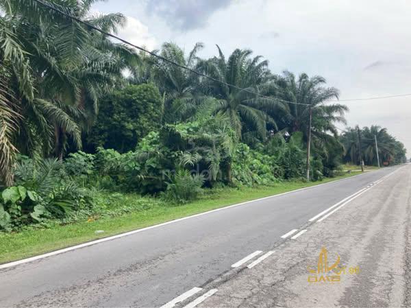 Facing Frontage Jenjarom 2.975acres Zoning Industry Land Freehold Sale 2
