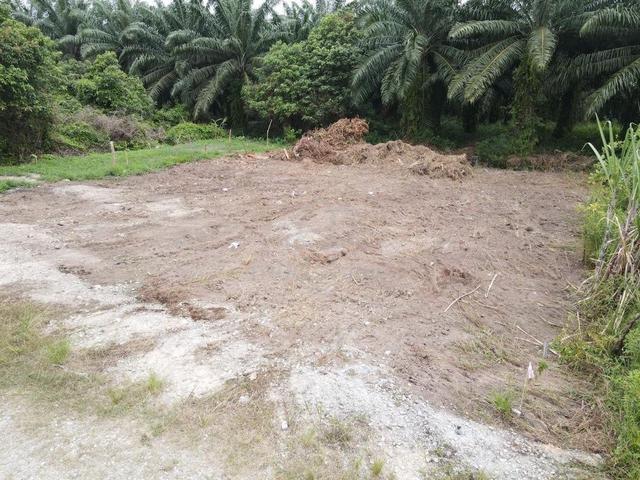 Lot Banglo Jln Tan Sri Mohamad Taib Sg Kembong Pulau Indah 1